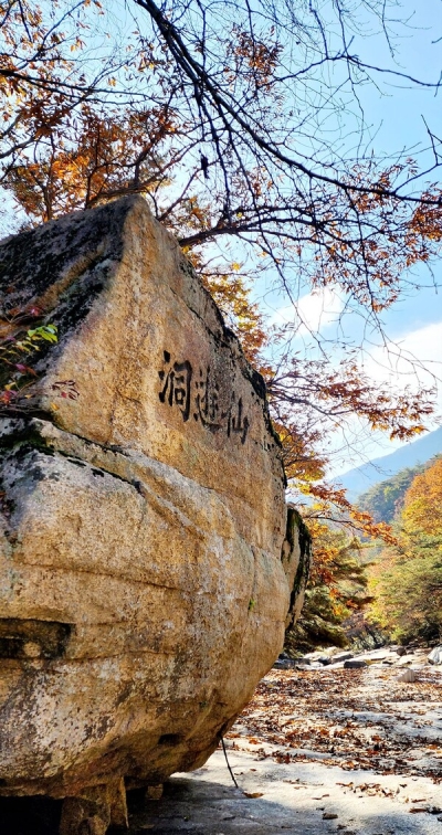 대표사진