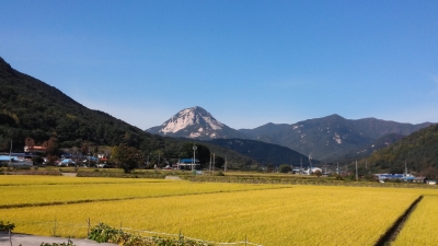 대표사진
