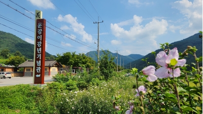 대표사진